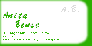 anita bense business card